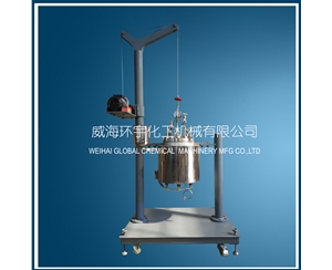 浙江10L Lifting Reactor without Mixer