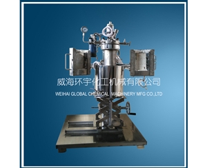 浙江2L Lifting  Reactor with Quick Open Device