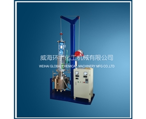 浙江5L Stainless Steel Lifting Reactor