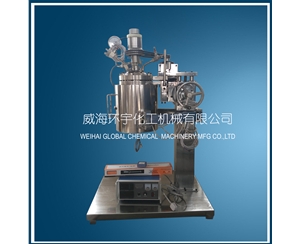 浙江5L Lifting Reactor with Quick Open Device