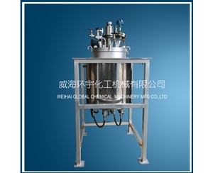 浙江50L Thermal Oil Electric Heating Reactor