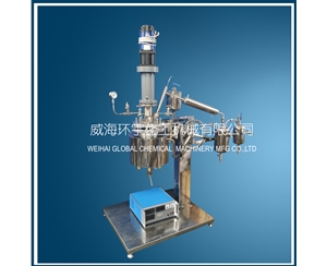 浙江5L Vacuum Distillation Reactor