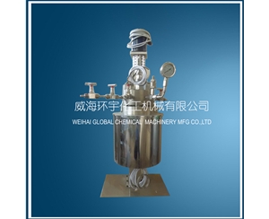 浙江Lab Scale Stainless Steel Reactor