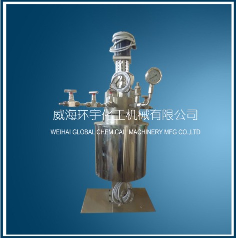 浙江Lab Scale Stainless Steel Reactor