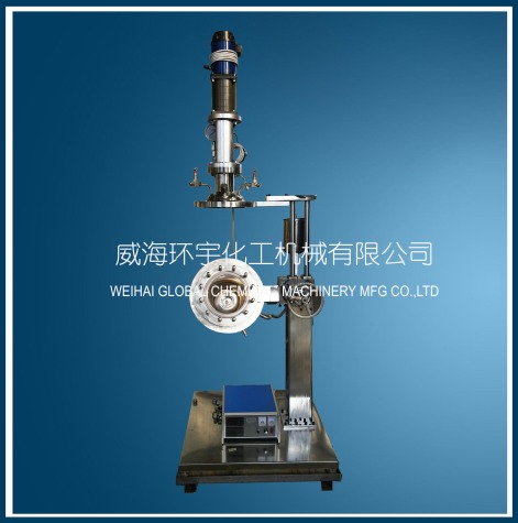 浙江Lab Scale Lifting Reactor with direct motor connecting