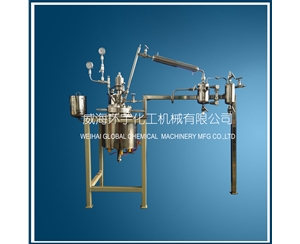 浙江GSH-2L Vacuum Distillation Reactor